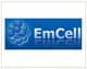 Slider image (5) EmCell Stem Cell Therapy Center